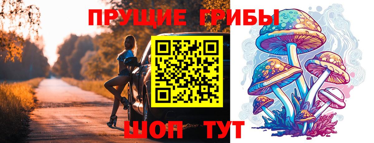 Темрюк  Галлюциногенные грибы прущие грибы  Вход с VPN 